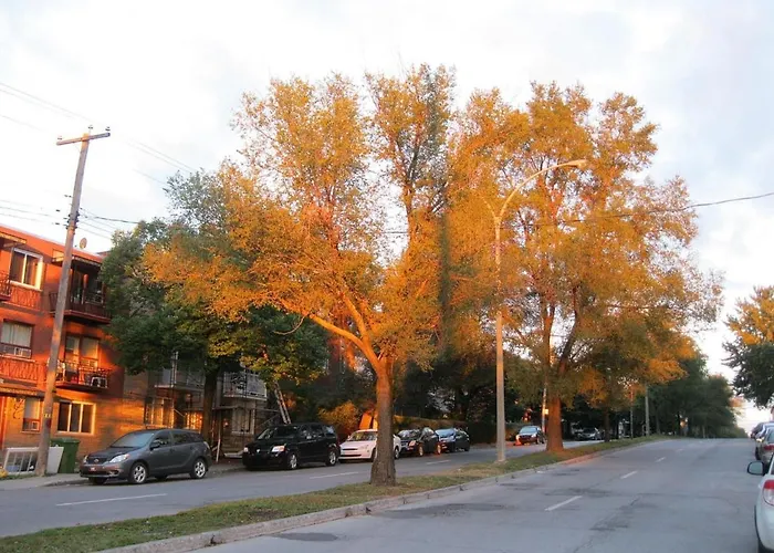 Heaven Is A Place On Earth Montréal